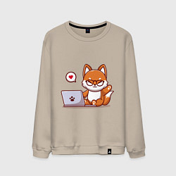 Мужской свитшот Cute fox and laptop