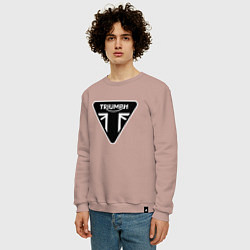 Свитшот хлопковый мужской Triumph Мото Лого Z, цвет: пыльно-розовый — фото 2