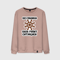Свитшот хлопковый мужской Папа рулит ситуацией, цвет: пыльно-розовый