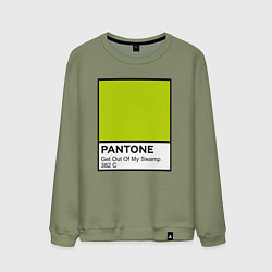 Свитшот хлопковый мужской Shrek: Pantone Color, цвет: авокадо