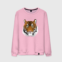 Свитшот хлопковый мужской Тигр, цвет: светло-розовый
