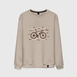 Свитшот хлопковый мужской Схема Анатомия Велосипеда, цвет: миндальный