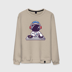 Мужской свитшот ДИДЖЕЙ DJ Z