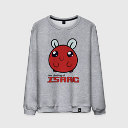 Свитшот хлопковый мужской The binding of isaac Monsters, цвет: меланж