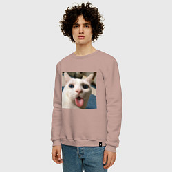 Свитшот хлопковый мужской Мем про кота, цвет: пыльно-розовый — фото 2
