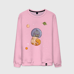 Мужской свитшот Утконос и космос