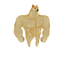 Свитшот хлопковый мужской Мем собака качок DOGE, цвет: белый — фото 2