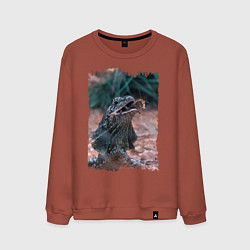 Свитшот хлопковый мужской Дракон ест кузнечика, цвет: кирпичный