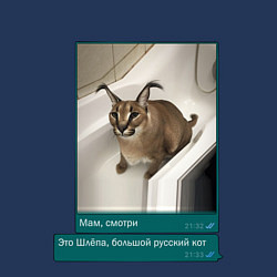 Свитшот хлопковый мужской Шлёпа, цвет: тёмно-синий — фото 2