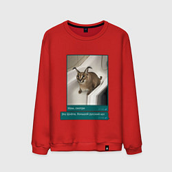 Свитшот хлопковый мужской Шлёпа, цвет: красный