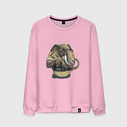 Свитшот хлопковый мужской Слон-военный, цвет: светло-розовый