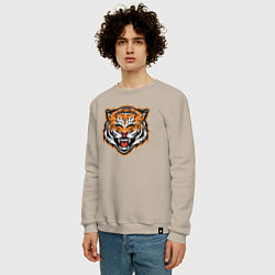 Свитшот хлопковый мужской Грозный тигр, цвет: миндальный — фото 2
