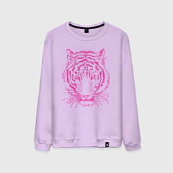 Свитшот хлопковый мужской Pink Tiger, цвет: лаванда