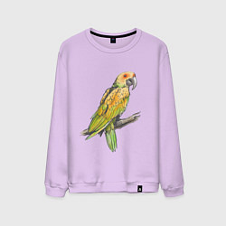 Свитшот хлопковый мужской Любимый попугай, цвет: лаванда