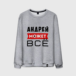 Мужской свитшот Андрей может ВСЁ
