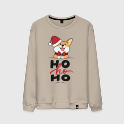 Свитшот хлопковый мужской Corgi Ho ho Ho, цвет: миндальный