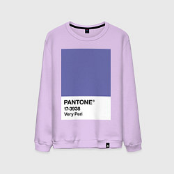 Свитшот хлопковый мужской Цвет Pantone 2022 года - Very Peri, цвет: лаванда