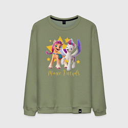 Мужской свитшот Magic Pony Friends