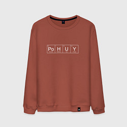 Свитшот хлопковый мужской Безразличие Po H U Y, цвет: кирпичный