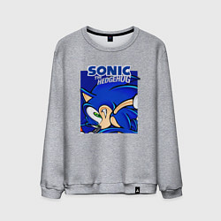 Мужской свитшот Sonic Adventure Sonic