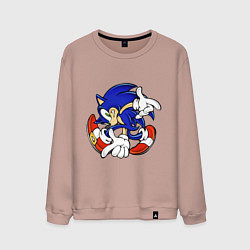 Мужской свитшот Blue Hedgehog