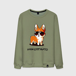 Мужской свитшот ИНКОРГНИТО , скрытый корги