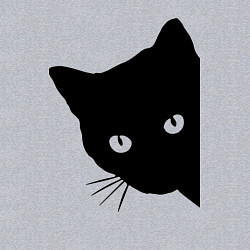 Свитшот хлопковый мужской Всё тот же чёрный котяра!, цвет: меланж — фото 2