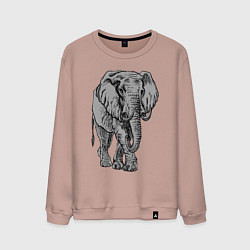 Свитшот хлопковый мужской Огромный могучий слон, цвет: пыльно-розовый