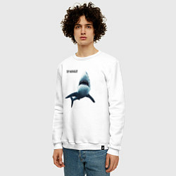 Свитшот хлопковый мужской Акула - топ менеджер, цвет: белый — фото 2