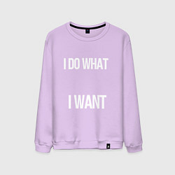 Свитшот хлопковый мужской I DO WHAT I WANTЯ ДЕЛАЮ ЧТО Я ХОЧУ, цвет: лаванда