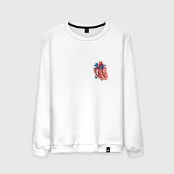 Мужской свитшот Анатомия Сердце
