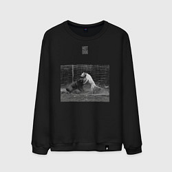 Свитшот хлопковый мужской HOTDOG-SVORA, цвет: черный