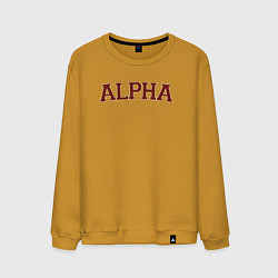 Свитшот хлопковый мужской Logo Alpha, цвет: горчичный