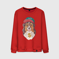 Свитшот хлопковый мужской Хип-хоп собачка, цвет: красный