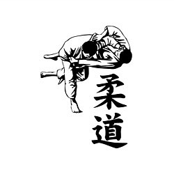 Свитшот хлопковый мужской JUDO БРОСОК, цвет: белый — фото 2