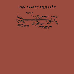 Свитшот хлопковый мужской Как летает самолет Инструкция, цвет: кирпичный — фото 2