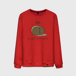 Свитшот хлопковый мужской Yes, im just a potato, цвет: красный