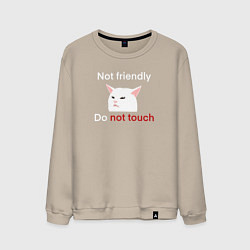 Мужской свитшот Not friendly, do not touch, текст с мемным котом