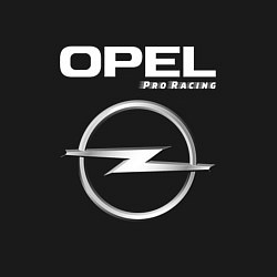 Свитшот хлопковый мужской OPEL Pro Racing, цвет: черный — фото 2