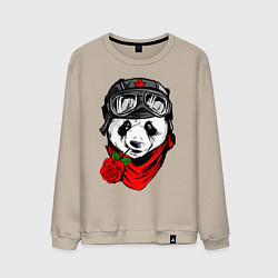 Свитшот хлопковый мужской Панда с розой во рту, цвет: миндальный