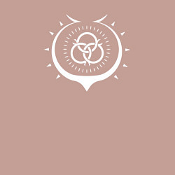 Свитшот хлопковый мужской ПЕЧАТЬ РАФТАЛИИ ГЕРОЙ ЩИТА, цвет: пыльно-розовый — фото 2