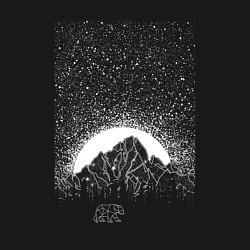 Свитшот хлопковый мужской Звёздное небо и медведь, цвет: черный — фото 2