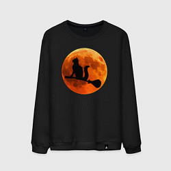 Свитшот хлопковый мужской Halloween Cat, цвет: черный