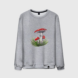 Свитшот хлопковый мужской Мухоморы в траве, цвет: меланж