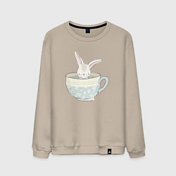 Мужской свитшот Кролик в чашке