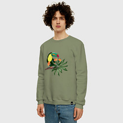 Свитшот хлопковый мужской Птица тукан с цветами и листьями, цвет: авокадо — фото 2