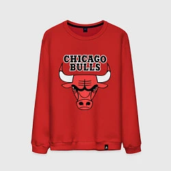 Свитшот хлопковый мужской Chicago Bulls, цвет: красный