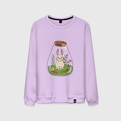 Свитшот хлопковый мужской The hare in the flask, цвет: лаванда