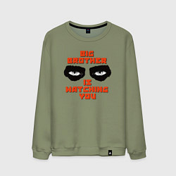 Мужской свитшот TOTAL CONTROL