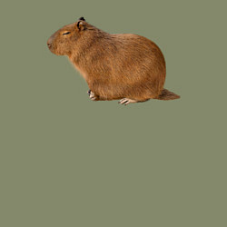 Свитшот хлопковый мужской Капибара сидит и спит, цвет: авокадо — фото 2